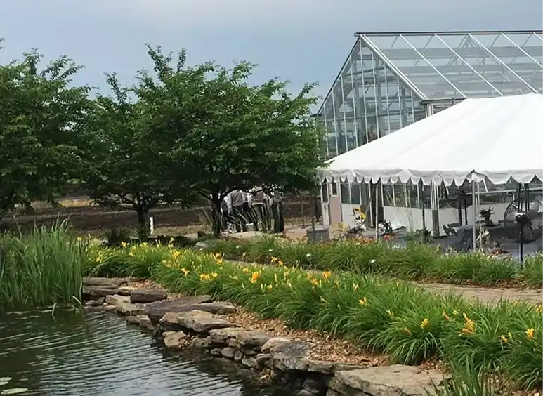 A picturesque farm scene featuring a vibrant field of sunflowers in full bloom